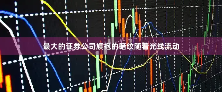 最大的证券公司旗袍的暗纹随着光线流动