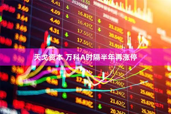 天戈资本 万科A时隔半年再涨停