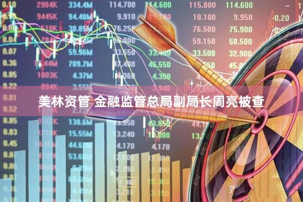 美林资管 金融监管总局副局长周亮被查