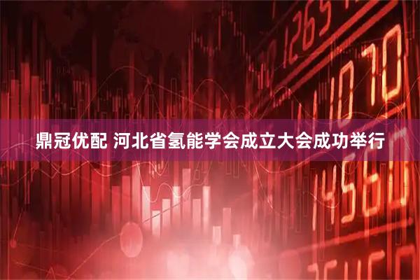 鼎冠优配 河北省氢能学会成立大会成功举行