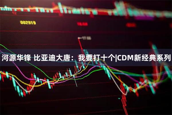河源华锋 比亚迪大唐：我要打十个|CDM新经典系列
